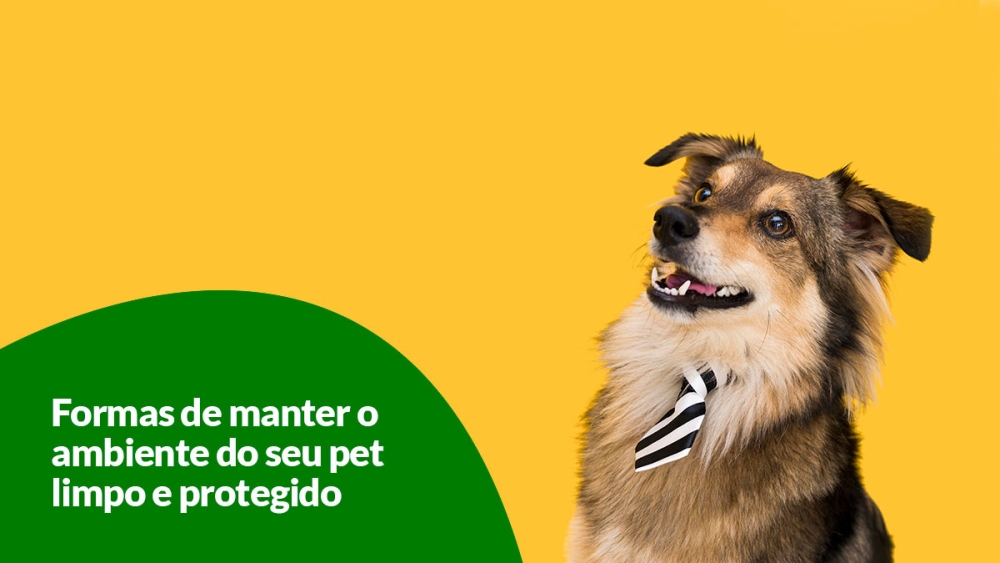 4 formas de manter o ambiente do seu pet limpo e protegido