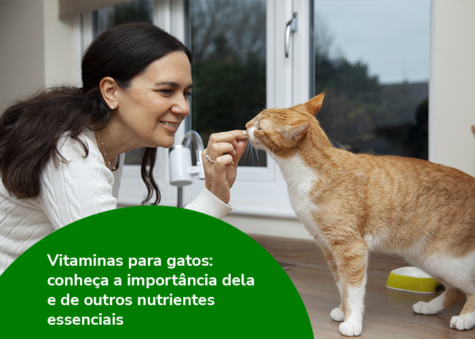 Vitaminas para gatos: conheça a importância dela e de outros nutrientes essenciais