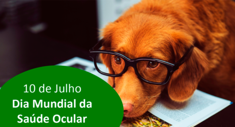 Você já observou os olhos do seu pet hoje?