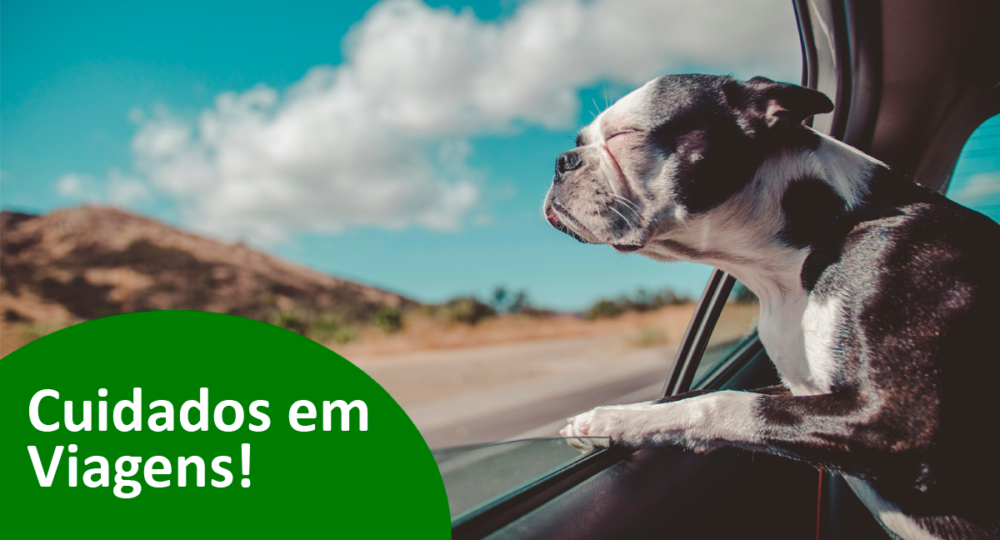 Cuidados com os animais em viagens