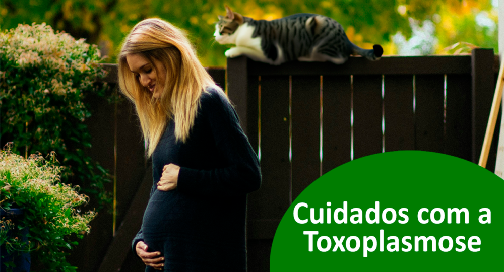 Cuidados com a toxoplasmose