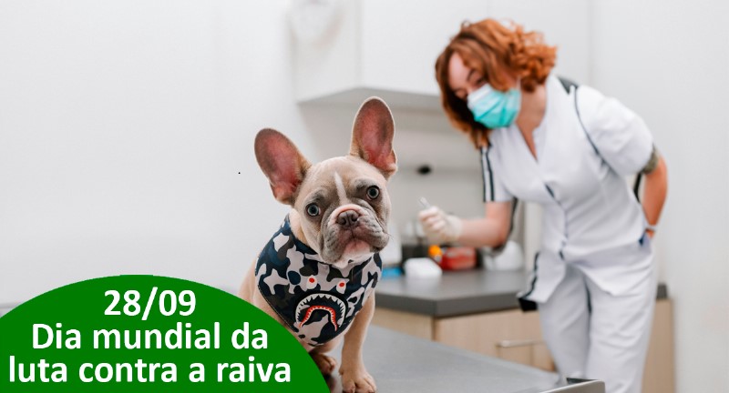 Dia mundial da luta contra a raiva