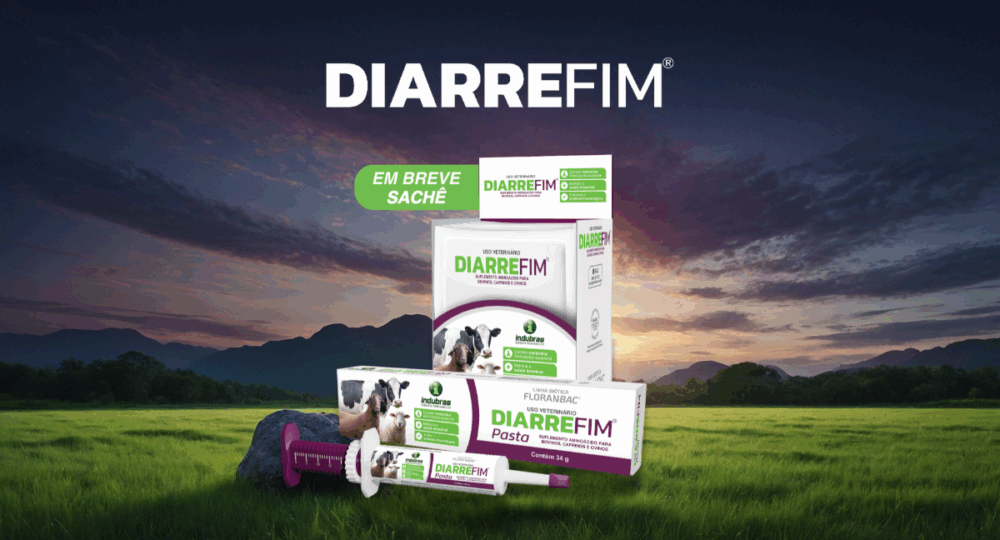 Saúde intestinal: a base para o bom desempenho no campo