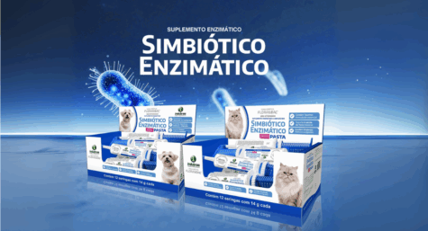 Desequilíbrio Intestinal: sinais e impactos nos pets