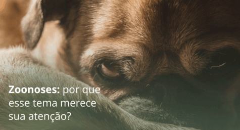 Zoonoses: por que esse tema merece sua atenção?