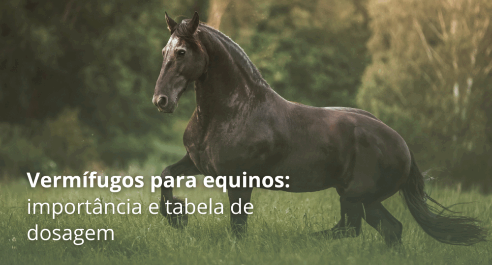 Vermífugos para equinos: a importância da vermifugação e tabela de dosagem Vermífugos para equinos: a importância da vermifugação e tabela de dosagem