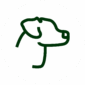 CACHORRO BRANCO