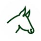 CAVALO BRANCO