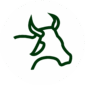 VACA BRANCA