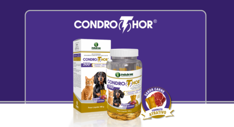 Saúde articular: o cuidado que acompanha cada movimento do seu pet